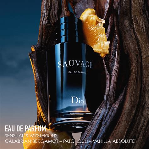 sauvage dior note de tete|Sauvage Eau de Parfum Dior pour homme .